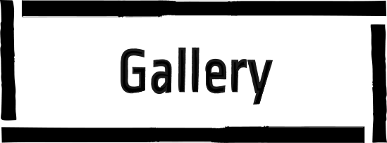 Photo Gallery